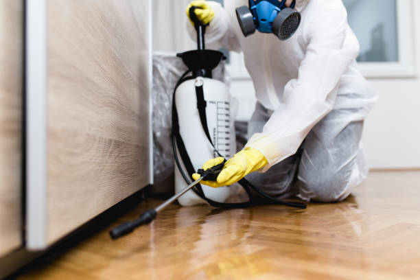 Best Rat Extermination Near Me  in Plover, WI