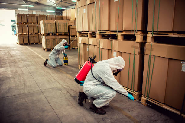 Best Emergency Pest Control  in Plover, WI