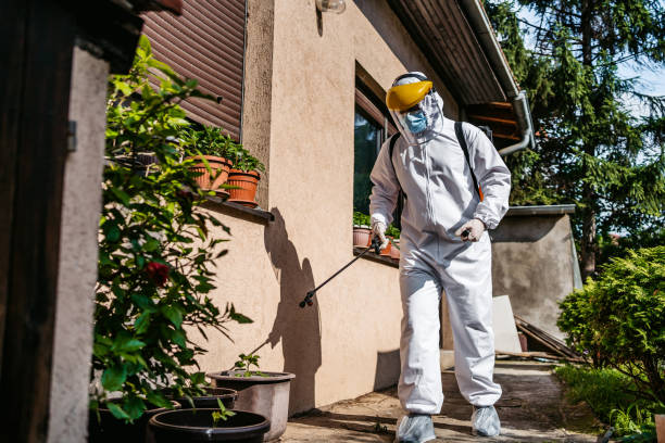 Best Affordable Pest Control Services  in Plover, WI