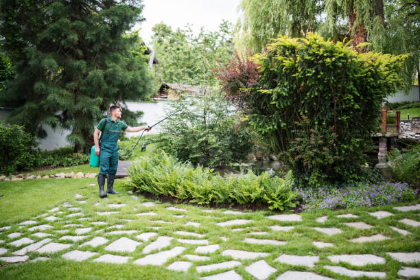 Best Ant Control Services  in Plover, WI