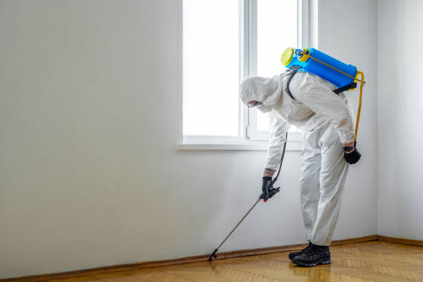 Best Pest Removal Services  in Plover, WI
