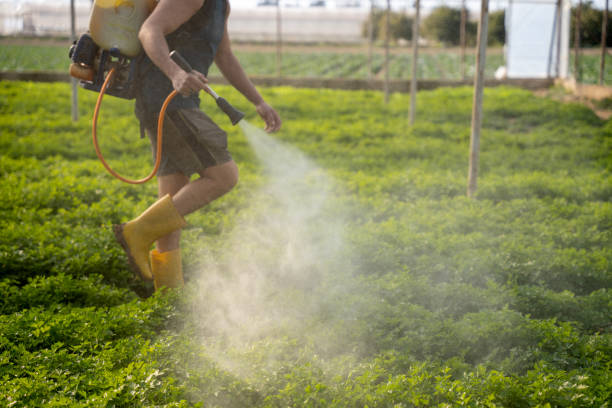 Best Affordable Pest Control Services  in Plover, WI