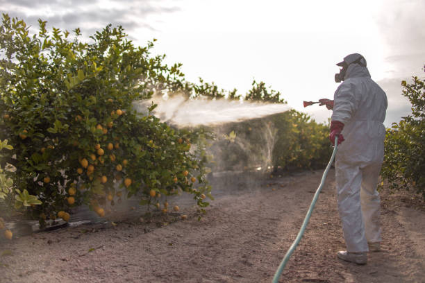 Best Pest Control Near Me in Plover, WI
