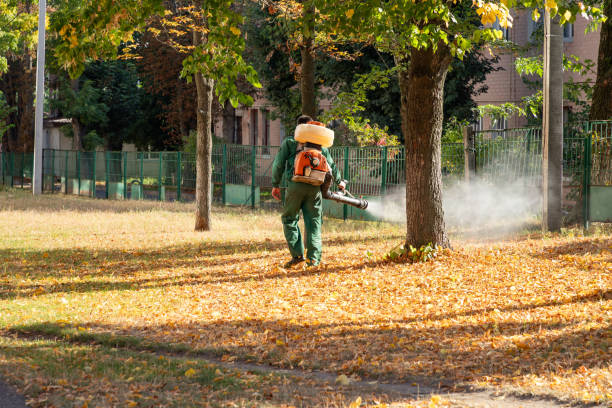 Best Mosquito Control Services  in Plover, WI