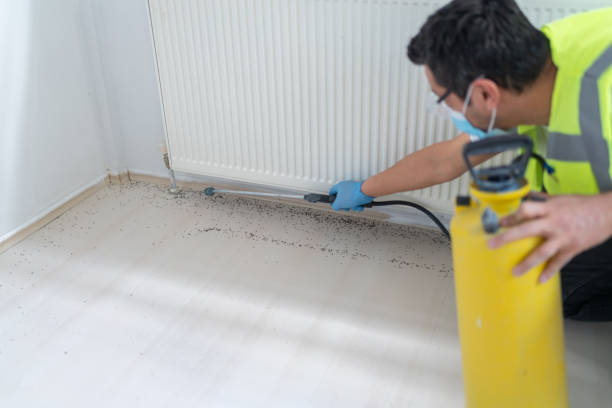 Professional Pest Control in Plover, WI