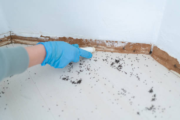 Best Pest Control for Restaurants  in Plover, WI
